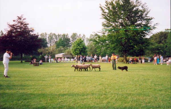 Millennium Festival - Nuttall Park
01-Ramsbottom Heritage Society-01-RHS Activities-016 Millennium Festival
Keywords: 2000