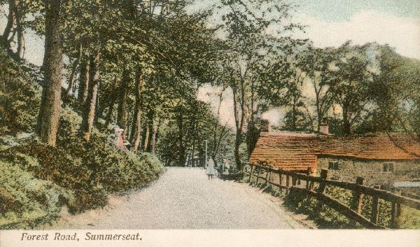 Forest Road, Summerseat.  Prob. first decade c20 .. posted Summerseat 3/5/7?. Can't see date, but in a collection, of cards from around 1906. 
17-Buildings and the Urban Environment-05-Street Scenes-028-Summerseat Area
Keywords: 1985
