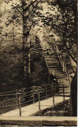 Jacob's Ladder, steps, Nuttall Hall Road
14-Leisure-01-Parks and Gardens-001-Nuttall Park General
Keywords: 1945
