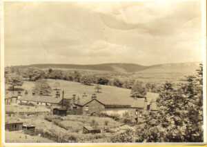 View over Carr bank, showing Springwood St. '3 Springwood St, Ramsbottom, Note Pigeon lofts & hen pens Late 1930s' 
17-Buildings and the Urban Environment-05-Street Scenes-006-Carr Street and Tanners area
Keywords: 1945