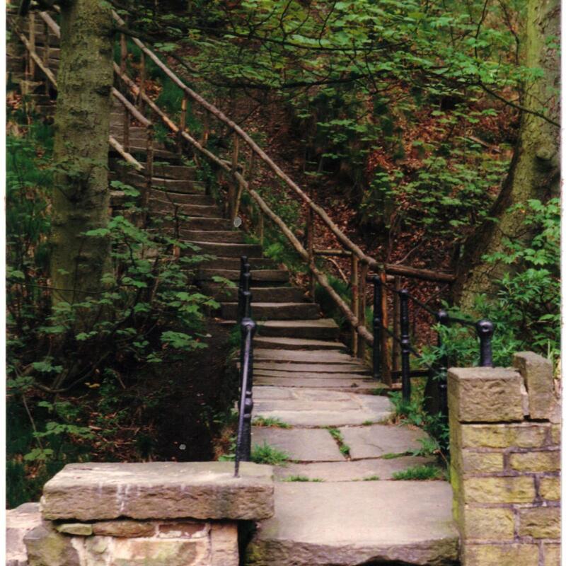 Jacobs Ladder