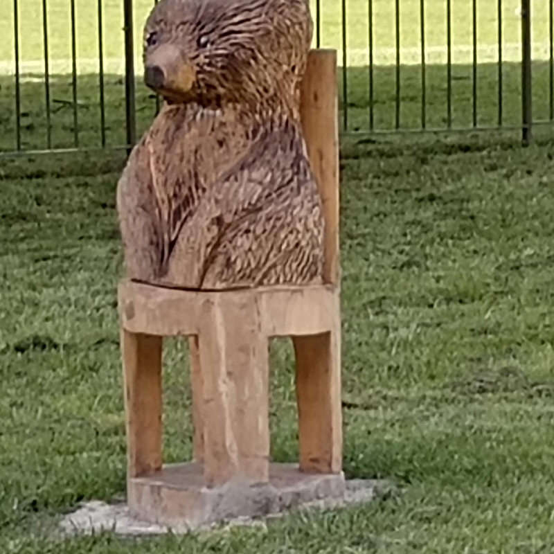 Bear Carving Nuttall Park