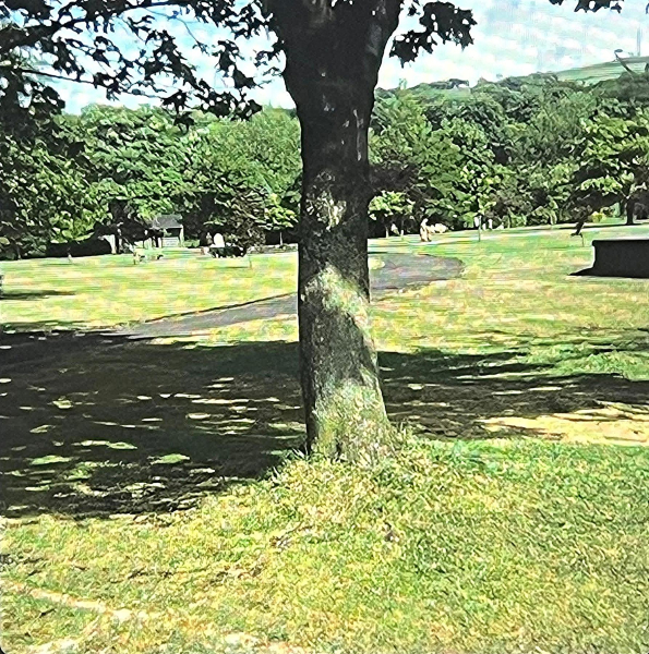 Nuttall Park Band Stand on Right
14-Leisure-01-Parks and Gardens-002-Nuttall Park Bandstand
Keywords: 1977