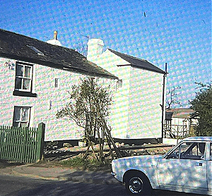 Filename=RHSDC21-COLL-1977-008.jpg
Filesize=567KiB
Dimensions=1800x1671
Date added=Mar 22, 2026 RHSDC21-COLL-1977-008.jpg