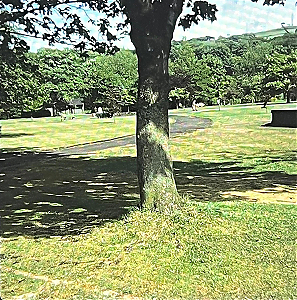 Filename=RHSDC21-COLL-1977-012.jpg
Filesize=669KiB
Dimensions=1785x1800
Date added=Mar 22, 2026 RHSDC21-COLL-1977-012.jpg