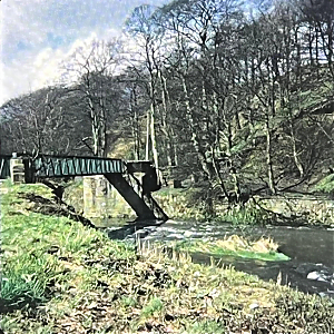 Filename=RHSDC21-COLL-1977-016.jpg
Filesize=461KiB
Dimensions=1800x1800
Date added=Mar 22, 2026 RHSDC21-COLL-1977-016.jpg