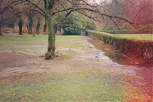 IANC-GEN-045.jpg
