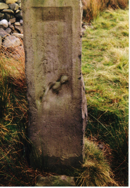 Ellen Strange murder stone Bull Hill 
18-Agriculture and the Natural Environment-03-Topography and Landscapes-001-Holcombe Hill
Keywords: 1997