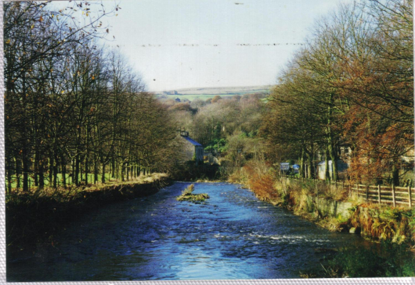 Irwell Autumn - The Irwell at Strongsty 
18-Agriculture and the Natural Environment-03-Topography and Landscapes-000-General
Keywords: 1997