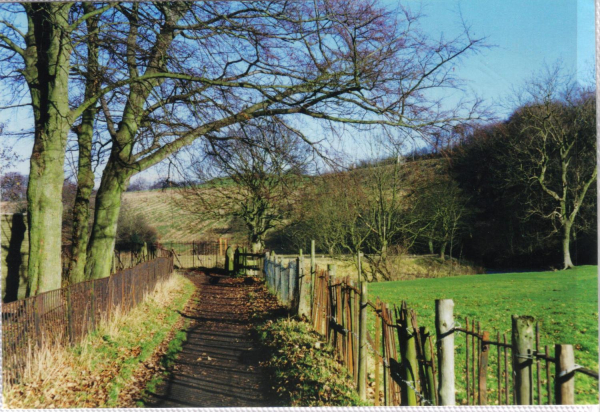 Irwell Sculpture Trail - Right through the gate to the trail 
18-Agriculture and the Natural Environment-03-Topography and Landscapes-000-General
Keywords: 1997