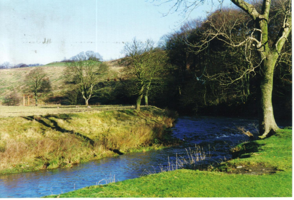 Irwell Sculpture Trail - Along the riverbank 
18-Agriculture and the Natural Environment-03-Topography and Landscapes-000-General
Keywords: 1997