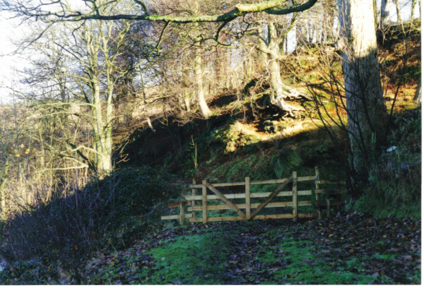 Irwell Sculpture Trail - Over the stile 
18-Agriculture and the Natural Environment-03-Topography and Landscapes-000-General
Keywords: 1997