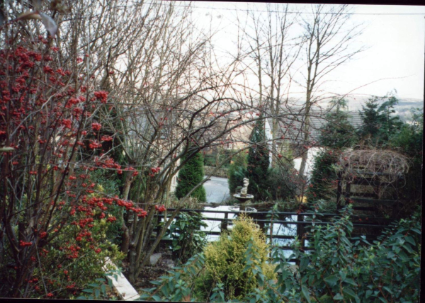 The Old Mill grounds 
17-Buildings and the Urban Environment-05-Street Scenes-006-Carr Street and Tanners area
Keywords: 1998