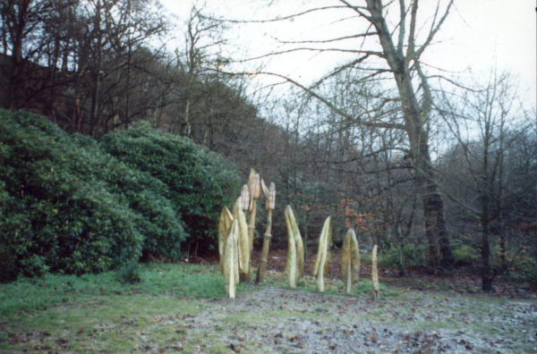 Wood Sculpture - Nuttall Park
14-Leisure-01-Parks and Gardens-001-Nuttall Park General
Keywords: 1998