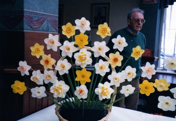 Daffodil exhibit at Ramsbottom Spring Flower Show
19-Animals and Plants-01-General-000-General

Keywords: 1999