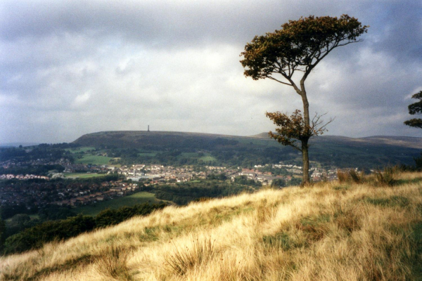 Holcombe Hill from Grant's tower
18-Agriculture and the Natural Environment-03-Topography and Landscapes-001-Holcombe Hill
Keywords: 1999