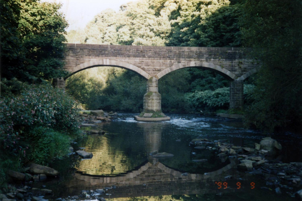 Refections of Gollinrod Viaduct - 1897 
17-Buildings and the Urban Environment-05-Street Scenes-019-Nuttall area
Keywords: 1999