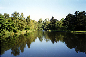 Filename=HPC-99TC-002.jpg
Filesize=176KiB
Dimensions=1500x1000
Date added=Feb 24, 2024 HPC-99TC-002.jpg