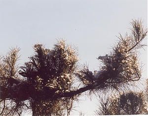 Filename=HPC-01TC-028.jpg
Filesize=282KiB
Dimensions=1500x1180
Date added=Feb 14, 2024 HPC-01TC-028.jpg