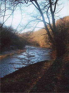 Filename=HPC-03TC-024.jpg
Filesize=1610KiB
Dimensions=1332x1800
Date added=Feb 14, 2024 HPC-03TC-024.jpg