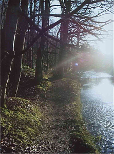Filename=HPC-03TC-025.jpg
Filesize=1512KiB
Dimensions=1333x1800
Date added=Feb 14, 2024 HPC-03TC-025.jpg