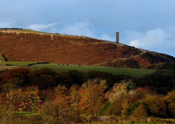 Autumn view of Reddisher woods and Holcombe Hill
18-Agriculture and the Natural Environment-03-Topography and Landscapes-001-Holcombe Hill
Keywords: 2007