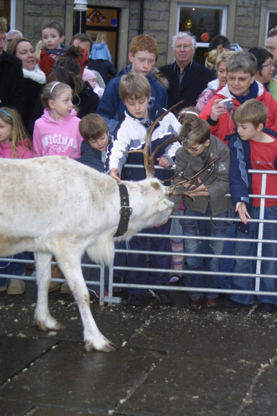 Reindeer in Market Place, Christmas Markets 
14-Leisure-04-Events-006-Markets
Keywords: 2008