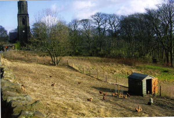 Holcombe Chickens  with view of Holcombe Church
to be catalogued
Keywords: 2008