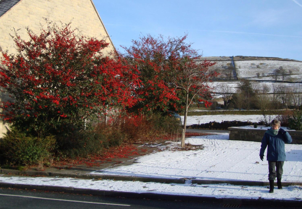 Fingerpost Garden, Edenfield in winter 
17-Buildings and the Urban Environment-05-Street Scenes-011-Edenfield
Keywords: 2009