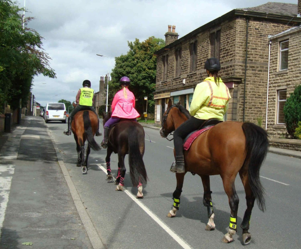 Horse riding along Market Street, Edenfield
17-Buildings and the Urban Environment-05-Street Scenes-011-Edenfield
Keywords: 2010