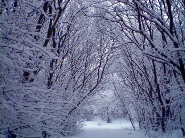 Winter Scene - riverside path, Nuttall 
17-Buildings and the Urban Environment-05-Street Scenes-019-Nuttall area
Keywords: 2010