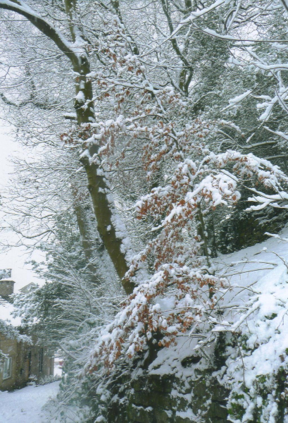 snowy view
18-Agriculture and the Natural Environment-03-Topography and Landscapes-000-General

