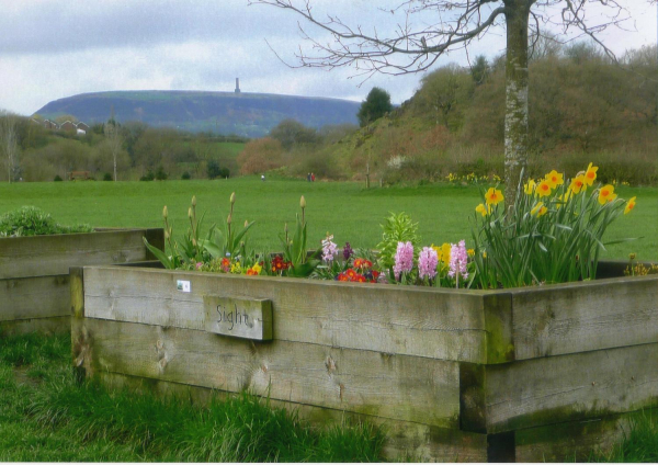Flower Bed with Holcombe Hill in the background
18-Agriculture and the Natural Environment-03-Topography and Landscapes-001-Holcombe Hill

Keywords: 2011