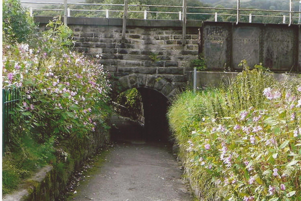 The Invasion of the Himilayan Balsam by the tunnel in Nuttall Park
14-Leisure-01-Parks and Gardens-001-Nuttall Park General

Keywords: 2012