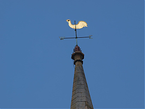 Filename=HPC-13BU-015.JPG
Filesize=61KiB
Dimensions=1500x1125
Date added=Mar 02, 2024 HPC-13BU-015.JPG