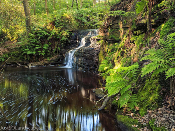 Waterfall from Simon's Lodge,Redisher Woods 
17-Buildings and the Urban Environment-05-Street Scenes-013-Holcombe Brook Area
Keywords: 2014