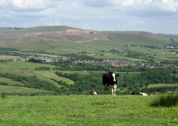 Wind Turbines from above Irwell Vale?  
to be catalogued
Keywords: 2015
