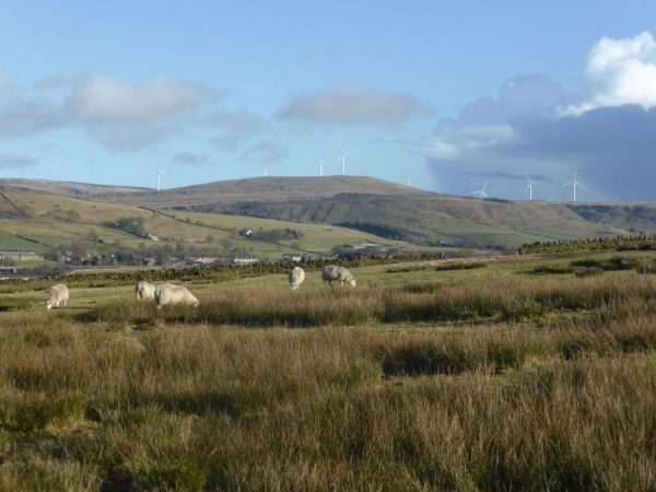 Edenfield and the Wind Turbines
17-Buildings and the Urban Environment-05-Street Scenes-011-Edenfield
Keywords: 2015