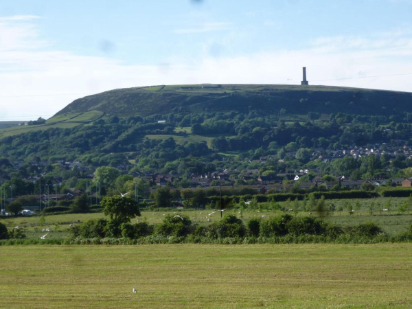 Peel Tower from track leading to Brandlesholme Rd to Summerseat.
08- History-01-Monuments-002-Peel Tower
Keywords: 2015