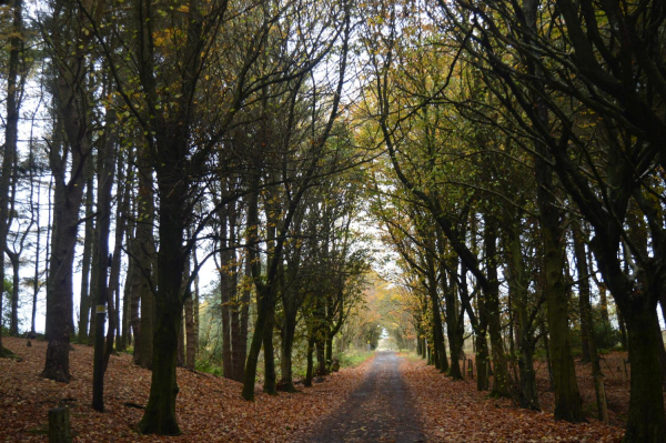 Edenfield New Road in Autumn
17-Buildings and the Urban Environment-05-Street Scenes-011-Edenfield
Keywords: 2015