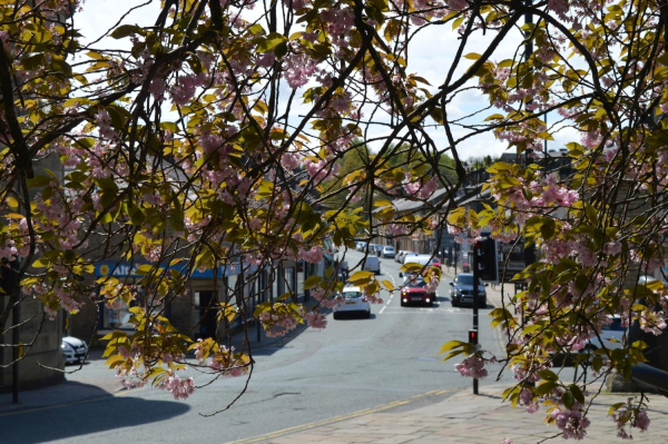 Bolton Street from the Urn
17-Buildings and the Urban Environment-05-Street Scenes-031 Bolton Street
Keywords: 2015