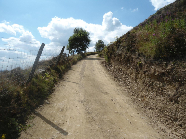 Track up front of Holcombe Hill 
18-Agriculture and the Natural Environment-03-Topography and Landscapes-001-Holcombe Hill
Keywords: 2015