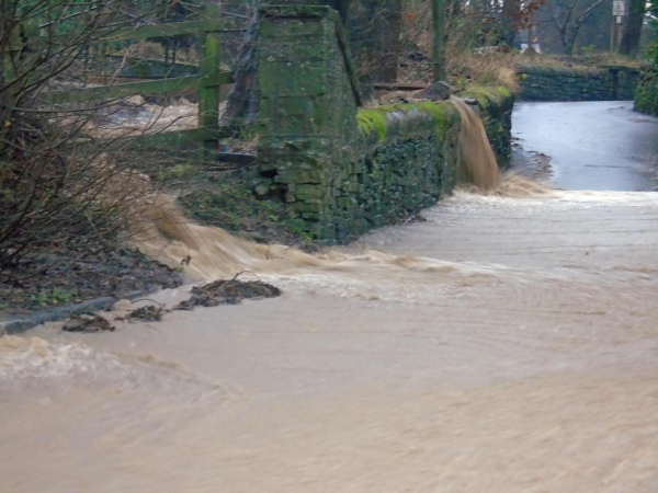 Flooding from Springwood Lodge
17-Buildings and the Urban Environment-05-Street Scenes-019-Nuttall area
Keywords: 2015
