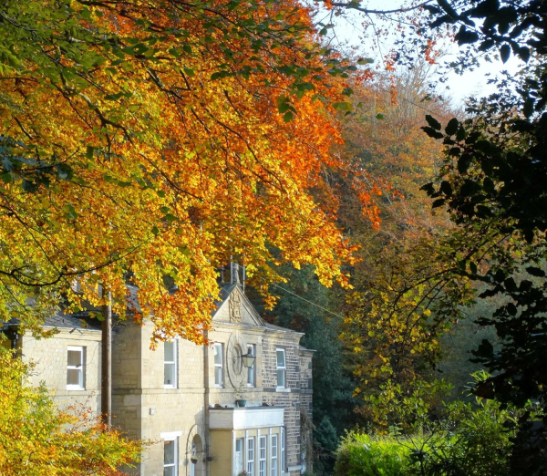 Nuttall Cottages 
17-Buildings and the Urban Environment-05-Street Scenes-018-Nuttall Hall Road Cottages
Keywords: 2016