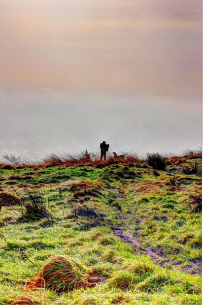 Ramsbottom from Holcombe Hill - One man and his dog 
18-Agriculture and the Natural Environment-03-Topography and Landscapes-001-Holcombe Hill
Keywords: 2016