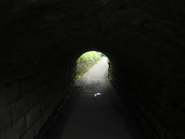 Inside tunnel Nuttall Park
14-Leisure-01-Parks and Gardens-001-Nuttall Park General
Keywords: 2016