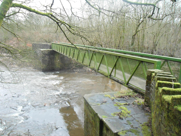 Iron Bridge Nuttall Park 1
14-Leisure-01-Parks and Gardens-001-Nuttall Park General
Keywords: 2016