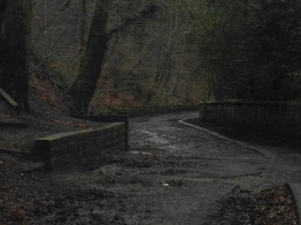 Path from Nuttall Park to wards Iron Bridge
14-Leisure-01-Parks and Gardens-001-Nuttall Park General
Keywords: 2016