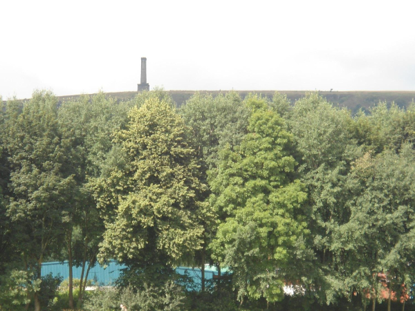 Peel Tower from Nuttall Park
14-Leisure-01-Parks and Gardens-001-Nuttall Park General
Keywords: 2016