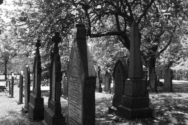 Ramsbottom Cemetery
17-Buildings and the Urban Environment-05-Street Scenes-007-Cemetery Road
Keywords: 2016